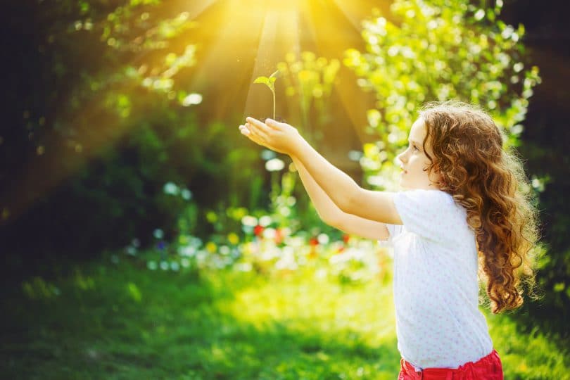 Menina segurando planta verde, nova, na luz solar.