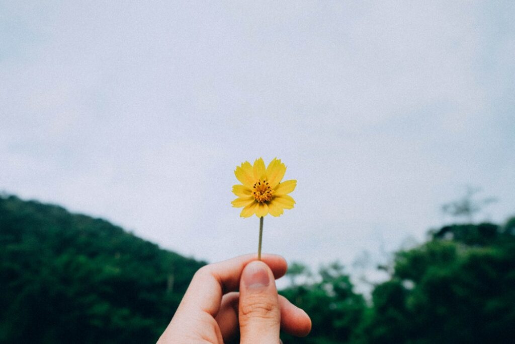 Mão segurando uma pequena flor amarela.