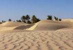 Dunas de areia, palmeiras ao fundo, céu azul.