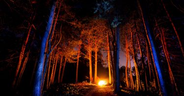 Floresta escura com fogueira à noite