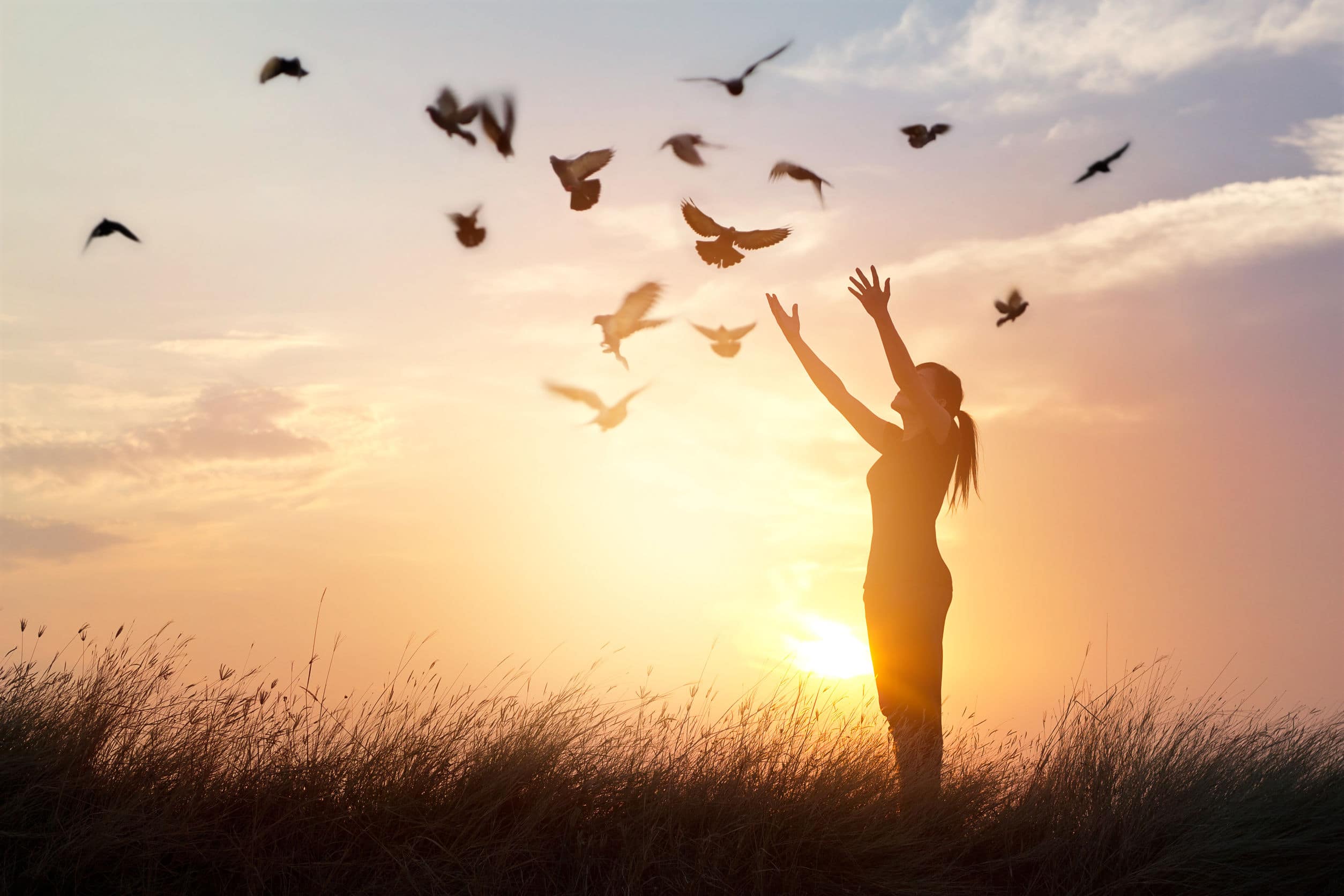 Mulher rezando e pássaro livre, apreciando a natureza no fundo por do sol.