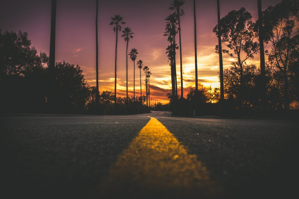 Visão de baixo de uma rua. Ao fundo da imagem, paisagem de palmeiras e céu rosa alaranjado. Muita luz do sol na foto.