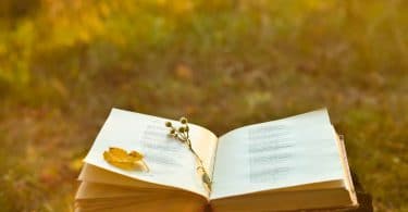 Livro aberto, com uma caneta e pétala de rosa amarela no meio, colocado em cima de tronco de cortado, no meio de um parque.