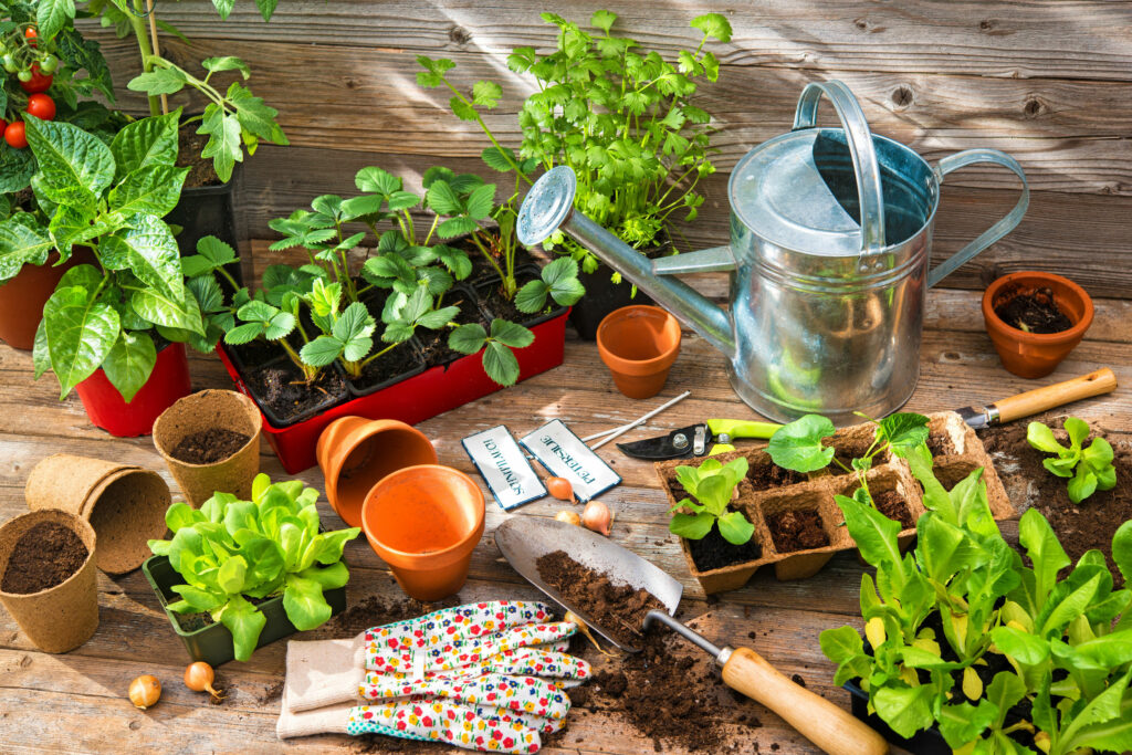 Utensílios de jardinagem : regador, pá, vasos, luvas e sementes, colocados todos em cima de mesa de madeira rústica, junto de vasos com plantas grandes