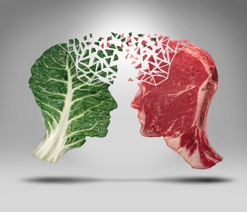 Duas formas de cabeça, uma feita de folhas vegetais e uma feita de carne vermelha, uma de frente para outra.