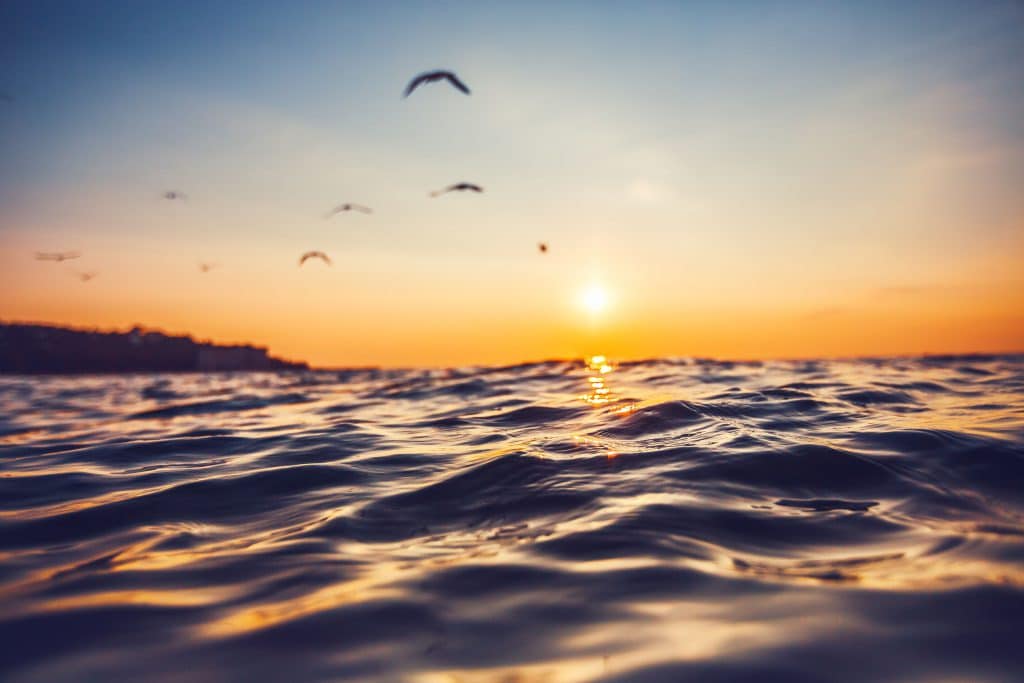 Pôr do sol refletindo no oceano azul com alguns pássaros voando no céu.