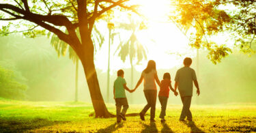 Família andando de mãos dadas em um campo, ao lado de uma árvore e com o sol brilhando ao fundo.