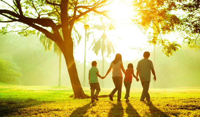 Família andando de mãos dadas em um campo, ao lado de uma árvore e com o sol brilhando ao fundo.