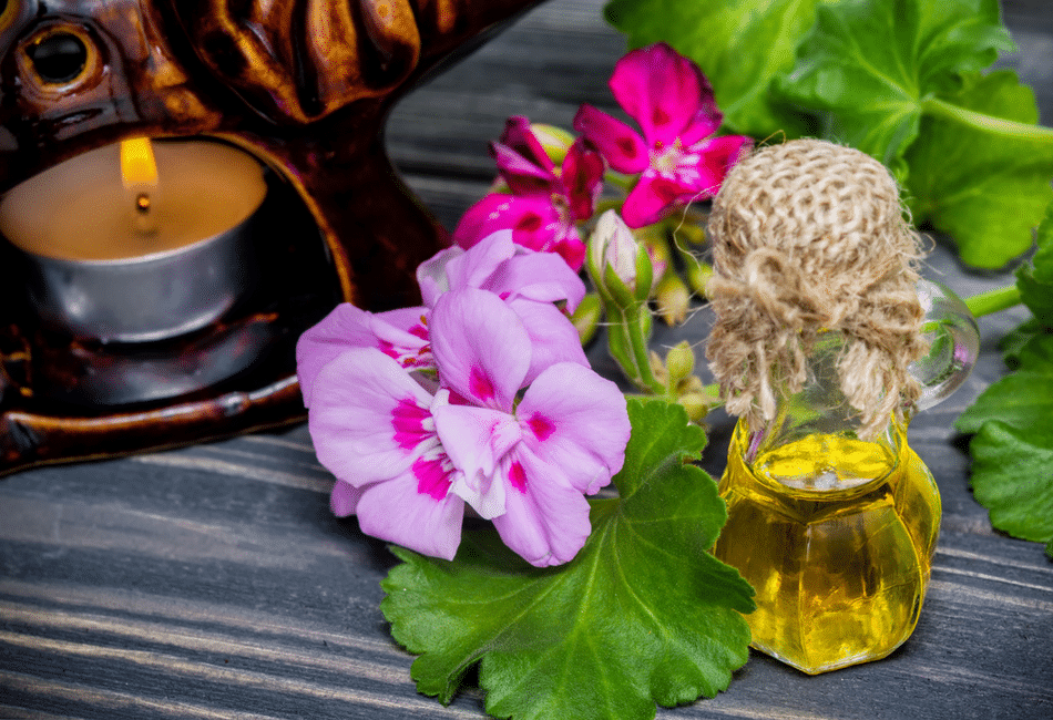 Mesa com flores, folhas e vidro de óleo de gerânio
