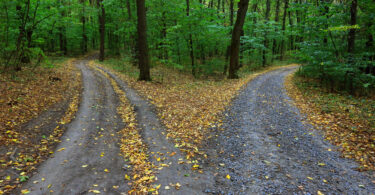 Duas trilhas indicando para caminhos diferentes.