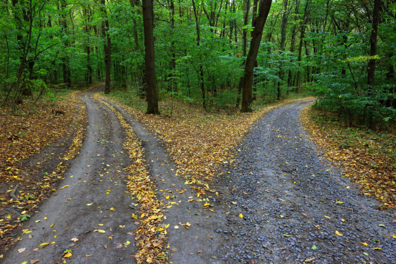 Duas trilhas indicando para caminhos diferentes.