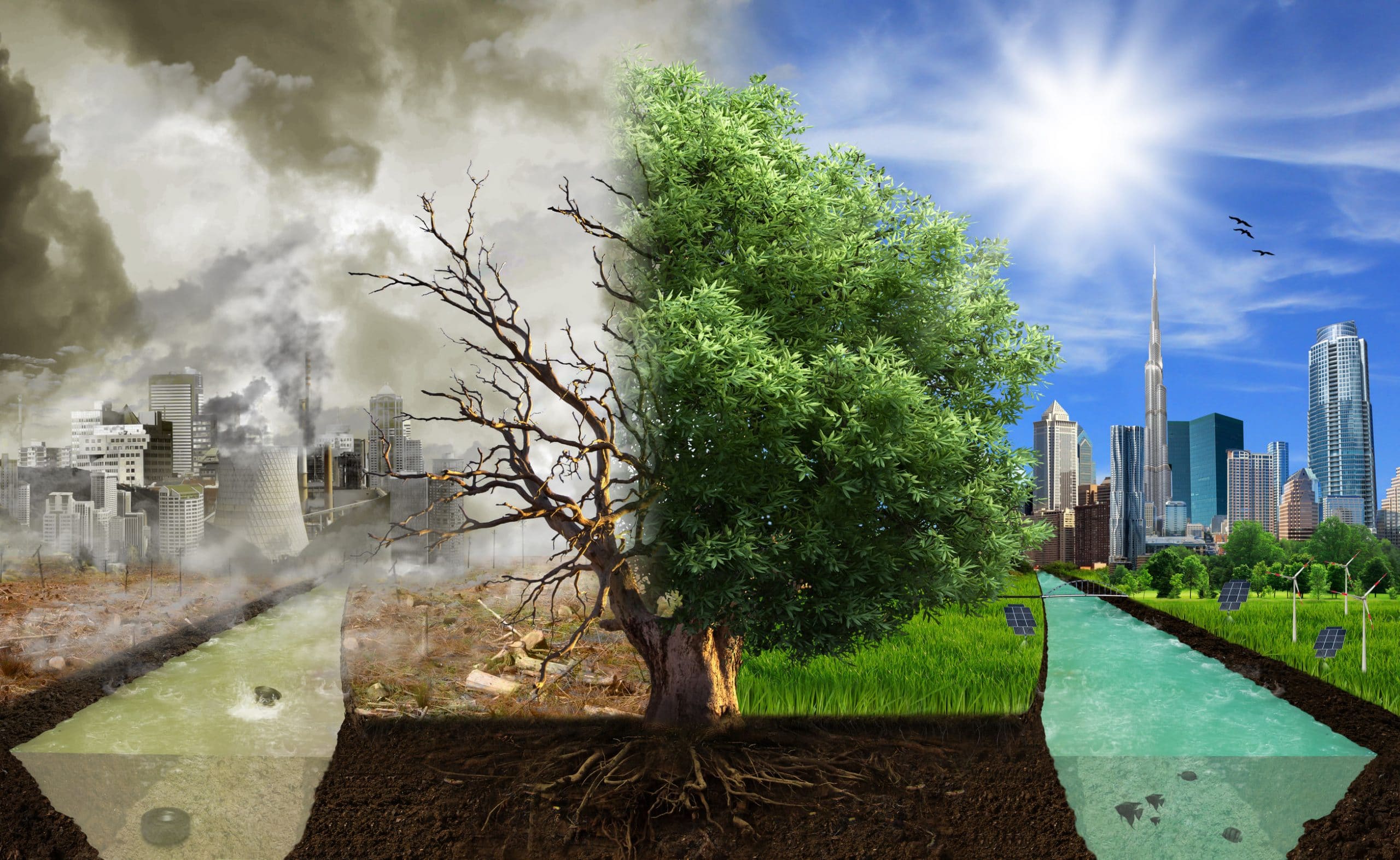 Климат эко. Разрушение экологии. Чистая природа в городе. Чистая экология. Природа до и после.