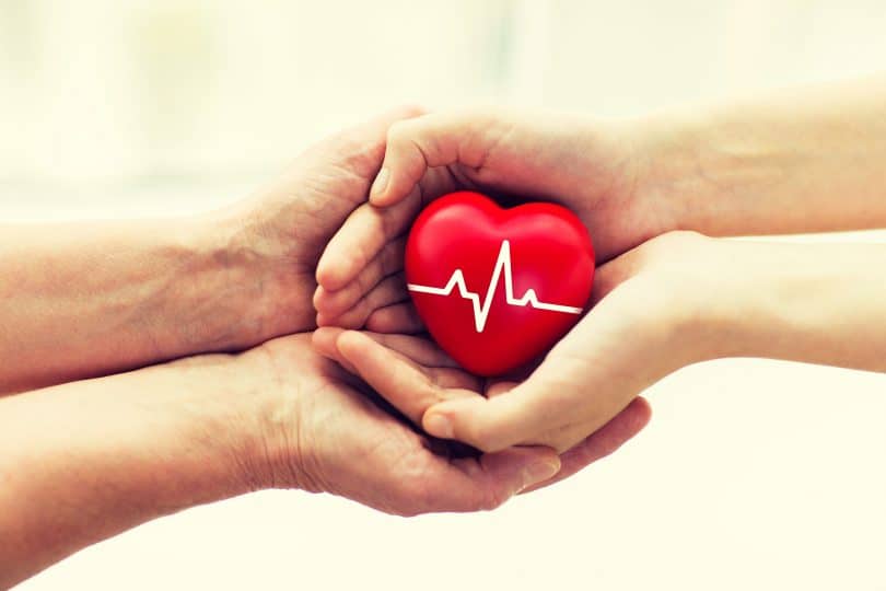 doação de órgãos: dois pares de mãos de pessoas brancas, um par segura um coração vermelho de plástico enquanto o outro par está abaixo do primeiro.