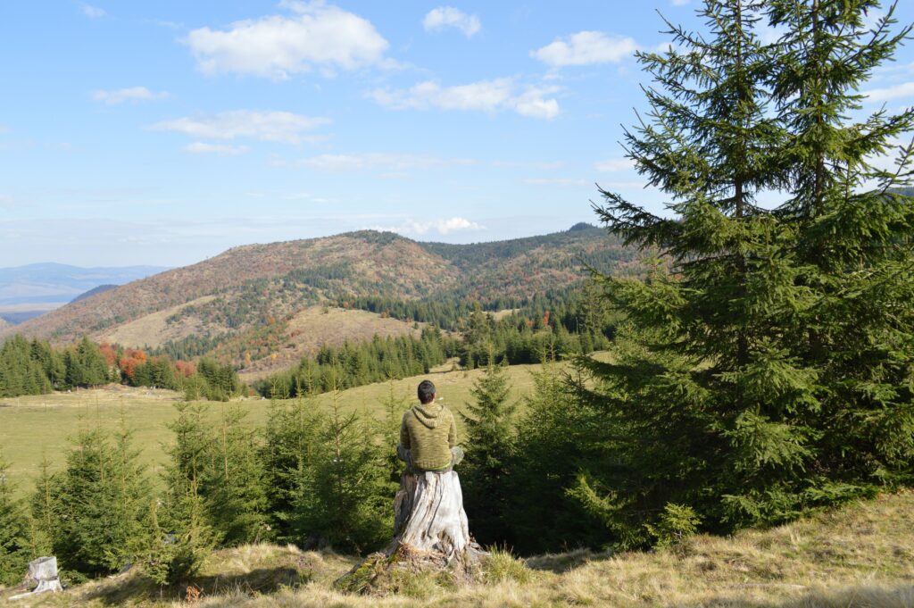 Pessoa meditando na natureza.