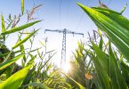 Plantação em volta de torre de energia em dia ensolarado.