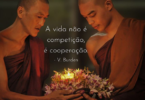 Foto de dois monges ascendendo uma luz, com a frase "A vida não é competição, é cooperação " escrita em branco.