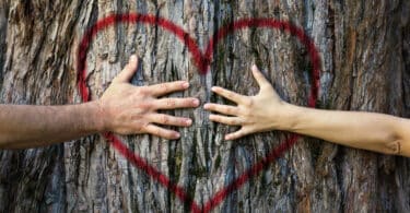 Mãos de duas pessoas abraçando o tronco de uma árvore com coração vermelho pintado
