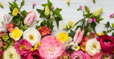 Quadro de flores sobre fundo branco de madeira. Representação da primavera.