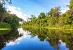 Floresta amazônica perfeitamente refletida em uma parte do rio.