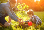 Menino e homem plantando uma muda de árvore em um campo gramado verde.