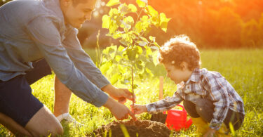 Menino e homem plantando uma muda de árvore em um campo gramado verde.