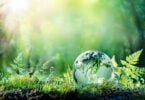 Globo da terra em vidro que reflete todo cenário de natureza ao redor.