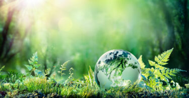 Globo da terra em vidro que reflete todo cenário de natureza ao redor.