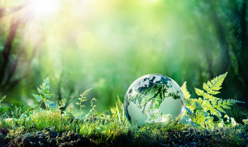 Globo da terra em vidro que reflete todo cenário de natureza ao redor.