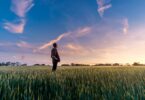 Homem em campo verde olhando para o pôr-do-sol