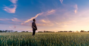 Homem em campo verde olhando para o pôr-do-sol