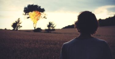 Silhueta de homem em pé em um campo de vegetação, observando o sol no horizonte.