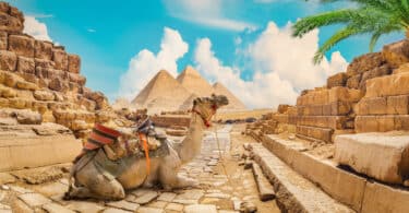 Piramides do Egito com um camelo na frente e um céu azul