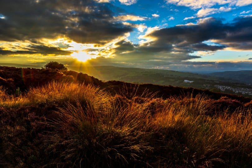 Campo nórdico iluminado pelo sol.