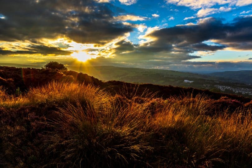 Campo nórdico iluminado pelo sol.