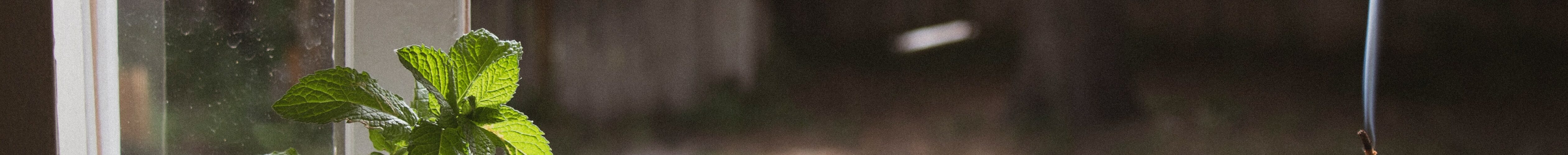 Janela com incenso e hortelã para purificar