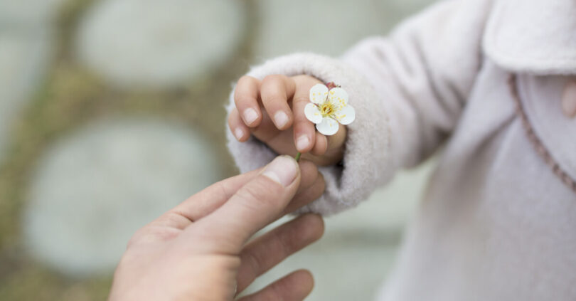 Criança entregando flor para pessoa.