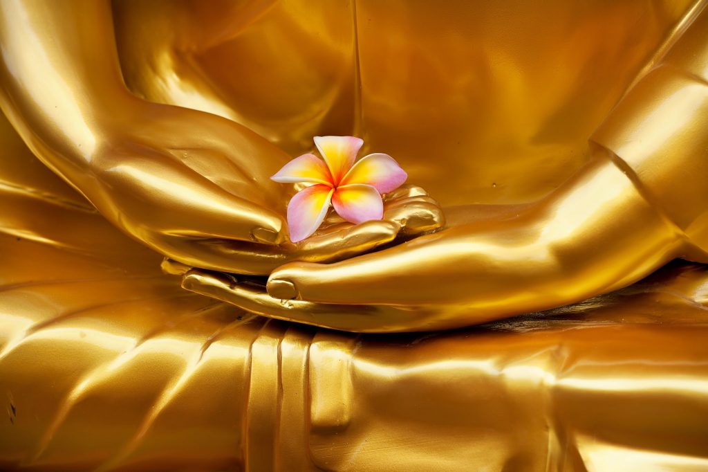 Flor de Frangipani sendo segurada pelas mãos de Buda. A imagem é na cor dourada e a flor é amarela e rosa.