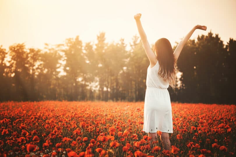 Mulher de costas em campo de flores vermelhas