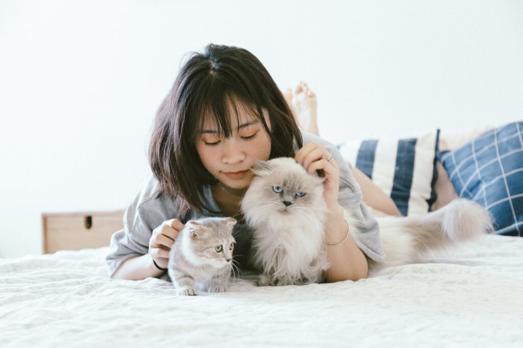 Jovem mulher deitada de bruços na cama, com dois gatos (um adulto e um filhote) recebendo seus carinhos.