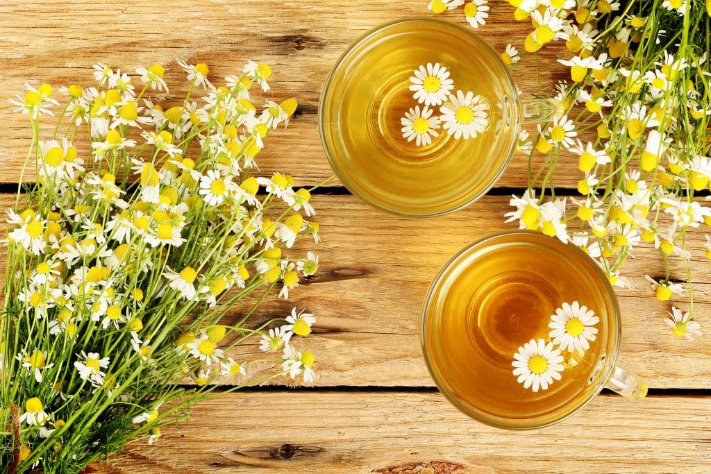 Chá de valeriana servido em duas canecas de vidros decorados com flores de margaridas. Os copos estão sobre uma mesa de madeira e ao lado de cada caneca um ramalhete de margaridas.