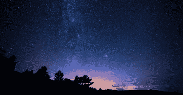 Imagem de um céu de noite, estrelado. Árvores ao fundo.