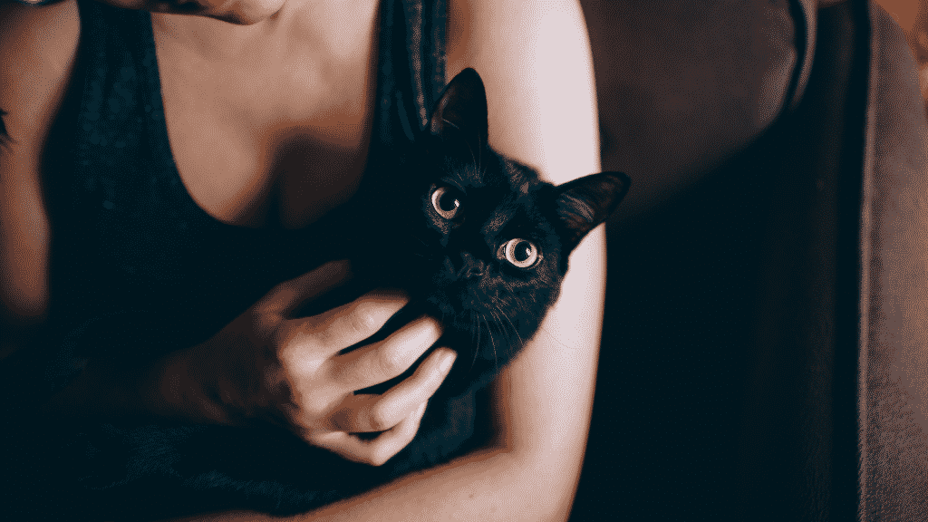 Mulher fazendo carinho em gato preto no seu colo