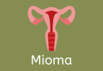 Ilustração de útero com fundo verde escrito Mioma