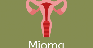 Ilustração de útero com fundo verde escrito Mioma