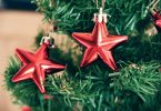 Detalhe em árvore de natal, com dois enfeites em formato de estrelas vermelhas.