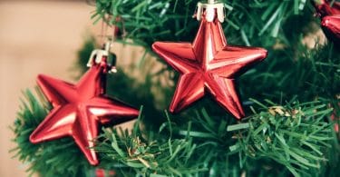 Detalhe em árvore de natal, com dois enfeites em formato de estrelas vermelhas.
