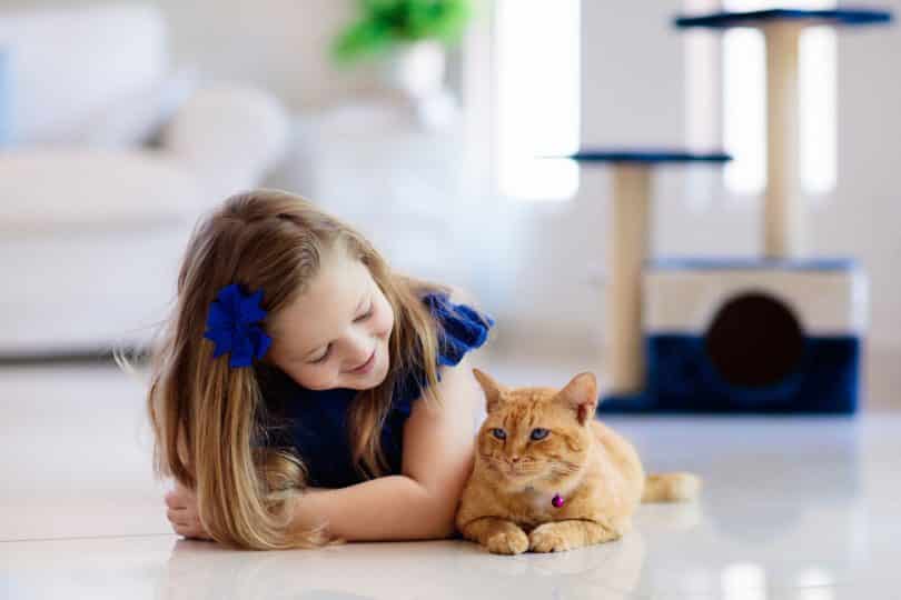 Gato amarelo ao lado de menina.