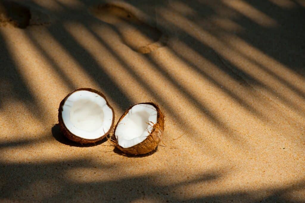 Coco cortado ao meio sobre a areia da praia, com sombras de palmeiras.