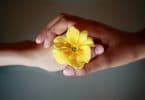 Uma mão de criança e uma mão adulta, segurando uma flor amarela juntas.