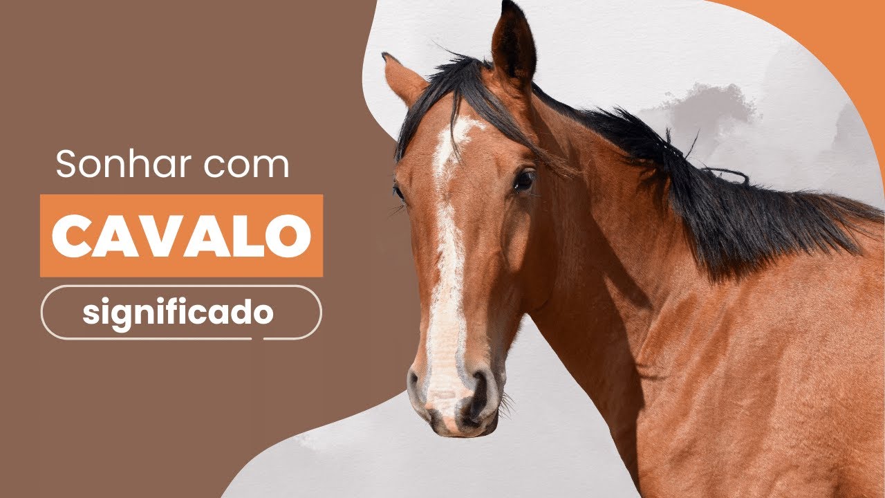 Significado dos sonhos: o que significa sonhar com cavalo – Metro World  News Brasil